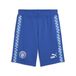 PUMA Sportbroek royal blue/koningsblauw