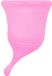 Femintimate Coupe menstruelle Eve Taille S Silicone Rose