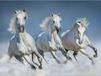 Merkloos 4x stuks placemats met witte paarden 3D print - Formaat 30 x 40 cm