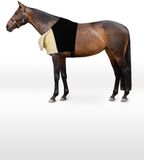 Horze Comfort schouderbeschermer, Black, S