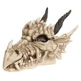 Nemesis Now Dragon Skull Box Decoratieve Artikelen standaard polyresin Dragon, Gothic, Horror