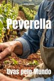Peverella Uvas pelo Mundo