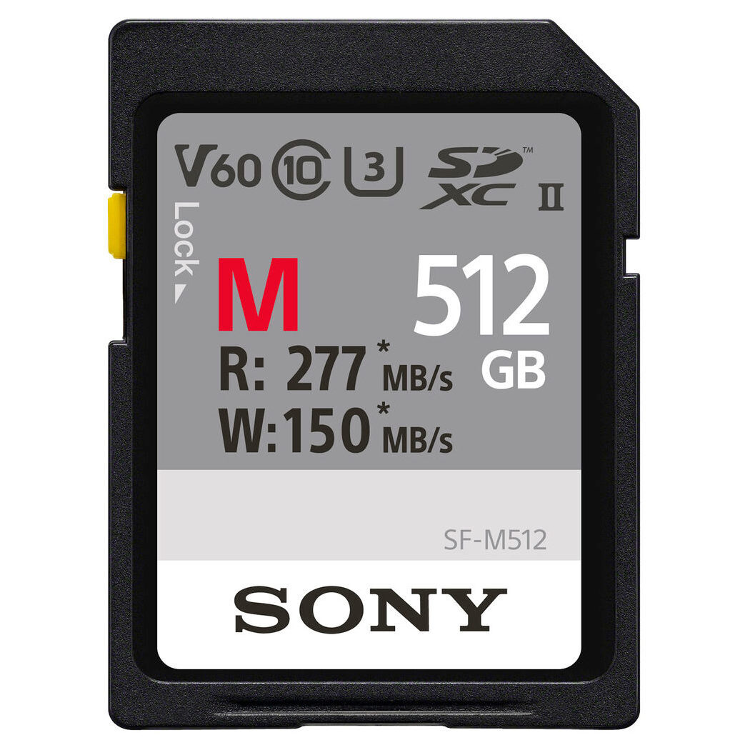 Sony 512 GB SF-M-serie