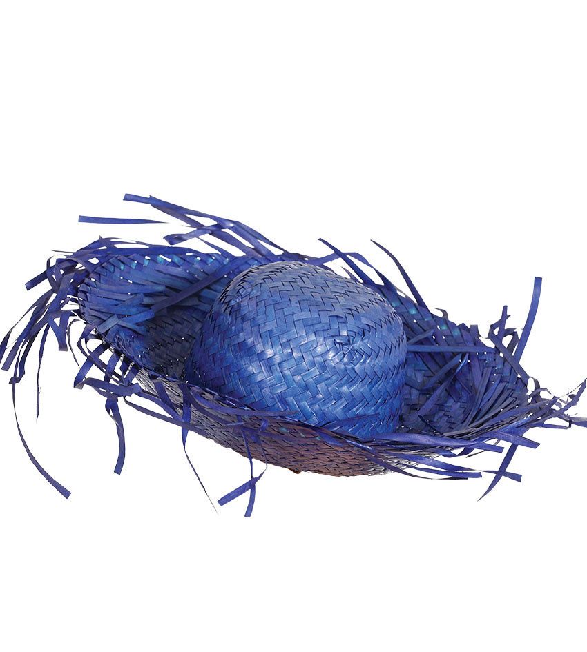 Partywinkel Strohoed Blauw