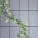 Siena Garden Spalier, rankrooster, 4-stangen, 150x60cm, 763754