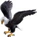 Bullyland 69351 Amerikaanse Zeearend Speelfiguur