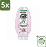 Garnier Loving Blends Infusion d'eau de riz Après-shampoing - 5 pièces - 250 ml