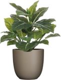 Mica Decorations Kunstplant Philodendron - groen - 49 cm - in bloempot - beige - D14.5 cm