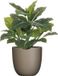 Mica Decorations Plante artificielle Philodendron - vert - 49 cm - en pot de fleurs - beige - D14.5 cm