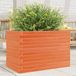 Maison Exclusive - Pot de fleurs pour le jardin, brun foncé, 70x40x46 cm, en bois de pin massif