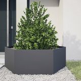 vidaXL Plantenbak Zeshoek Staal Antracietkleurig 138x120x45 cm