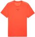 Puma X Hyrox Cloudspun Thermoadapt T-shirt Heren Rood S