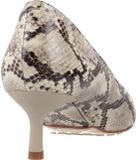 Clarks Adela Court Lea Dames Pumps Dierlijke Druk Leer Blokhak 5-7 cm Puntige neus 36 EU