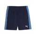 PUMA heren Geweven Shorts Teamliga26 Sideline Shorts