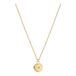 Liebeskind Berlin LJ-0555-N-45 Ketting Goud