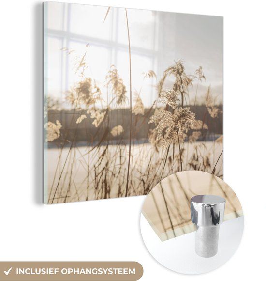 MuchoWow® Glass Painting 50x50 cm - Acrylic Glass Painting - Water - Pampas Grass - Plants - Photo on Glass - Paintings