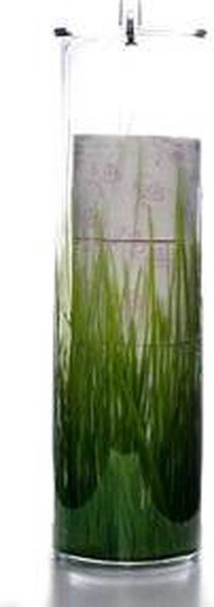 Paula design wcrolhouder - vrijstaand - geschikt voor 5 rollen - 54cm - toiletrolhouder - gras