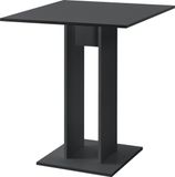 en.casa Design eettafel Lindesnes vierkant 65x65x78 cm donkergrijs