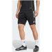 Adidas Tiro 25 competition training short