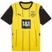 PUMA Borussia Dortmund 24/25 thuisshirt Heren S
