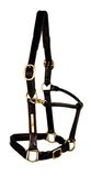 Halster TATTINI Srl Lederen halster voor paard, gewatteerde huid