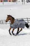 Bucas Smartex 150gr Paardendeken Grijs