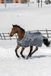 Bucas Smartex 150gr Paardendeken Grijs
