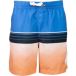 Quiksilver Short de bain Sea of Edge 14