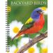 Willow Creek Press, Backyard Birds 2027 Planificateur de fiançailles 16,5 x 21,6 cm