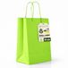 Groene OFITURIA Groene papieren zakken S, met handvat, 10 stuks, robuuste en recyclebare zakken voor cadeau en handel (22 x 10 x 27 cm, groen)