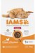 IAMS Kat Adult Indoor Kip - 10 kg
