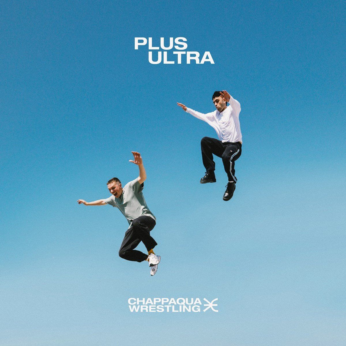 Universal Music Nederland Chappaqua Wrestling - Plus Ultra (LP)
