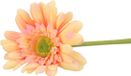 DK design Kunstbloem Gerbera - 72cm - Zalmroze - Zijde