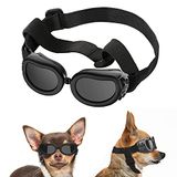 Lewondr Zonnebril voor honden, UV-veiligheidsbril, honden, winddicht, anti-condensbril en waterdichte hondenbril met verstelbare elastische band voor kleine honden, zwart