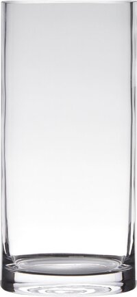 Hakbijl Glass Cilinder Vaas - Transparant Glas - 12 x 30 cm - Waterdicht