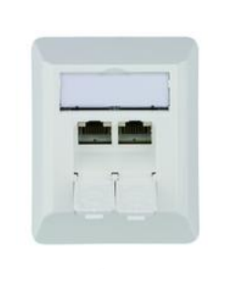 Telegärtner J00023A0204 - Wandcontactdozen - wit