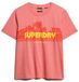 Superdry - Gestreept Outdoor T-shirt met relaxte pasvorm - Dames - T-shirts