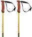 Völkl Volkl Phantastick 18mm Stokken Goud 130 cm