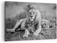Merkloos / Sans marque Groot Zwart-Wit Leeuw Schilderij op Canvas (120x80cm) - Moderne Dierendecoratie voor Woonkamer en Slaapkamer
