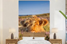 Nr1Wallpaper Behang - Fotobehang Schotse Hooglander - Heide - Gras - Dieren - Breedte 225 cm x hoogte 350 cm