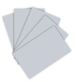 Folia Karton A4 220g Lichtgrijs 100 Vel