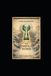 The Libri GmbH The Fertile Void Paperback