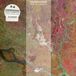 World Harmonizer - World Complete (12" Single)