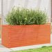 Maison Exclusive - Jardinière, brun foncé, 110x40x45,5 cm, pin massif