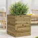 Maison Exclusive - Jardinière 40x40x46 cm, en pin imprégné