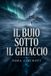 Il buio sotto il ghiaccio