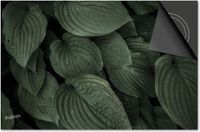 Dietrix Inductie Beschermer - Leaves - 71x52cm
