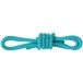Salewa Ortles Master 6 Mm Touw Blauw 30 cm
