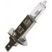 Brazoline Lampe H1 P14 5s
