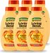 Garnier Loving Blends Honing Goud Shampoo - Beschadigd & Breekbaar Haar - 6 x 300 ml